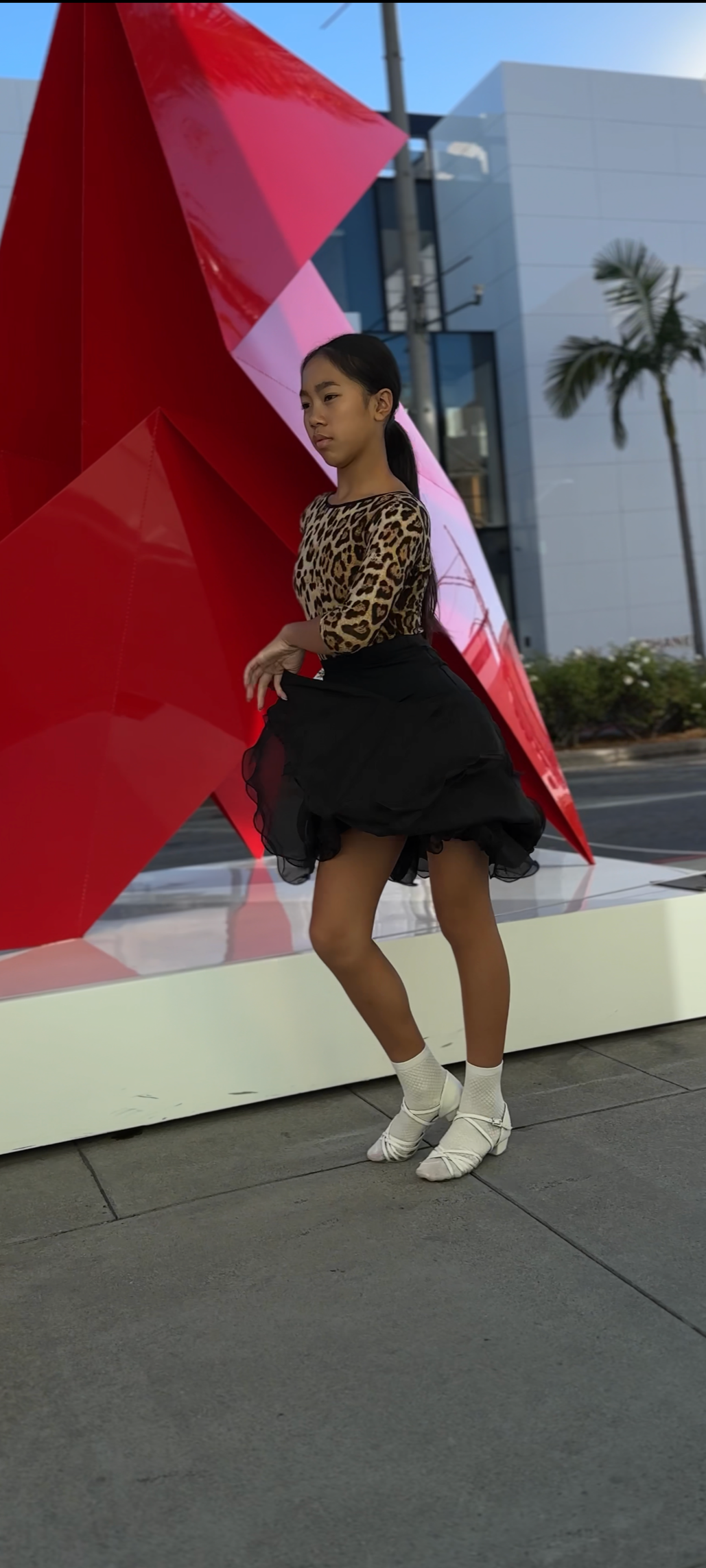 Leopard Juvenile Leotard and Black Skirt
